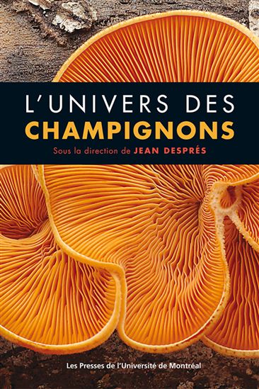 L&#39;Univers des champignons : une approche encyclopédique - JEAN DESPRÉS