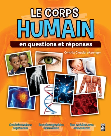 Le Corps humain en questions et réponses - CYNTHIA CLOUTIER MARENGER