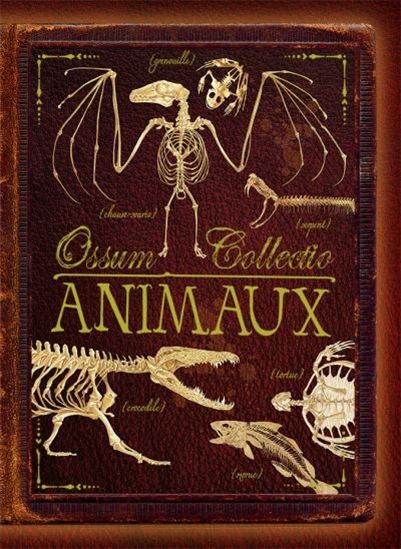 Ossum collectio : animaux - ROB COLSON