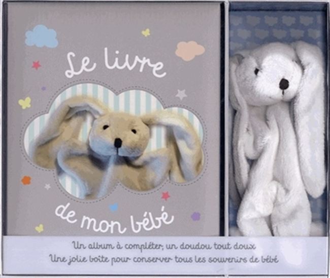 Collectif Le Livre De Mon Bebe Cof Maternite Famille Livres Renaud Bray Com Livres Cadeaux Jeux