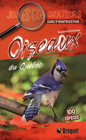 Oiseaux du Québec - SUZANNE BRÛLOTTE