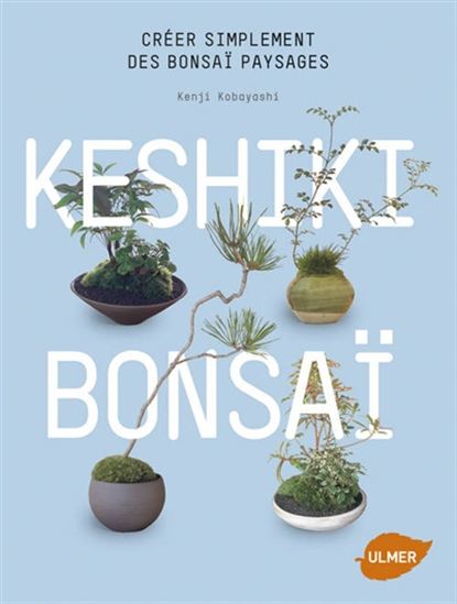 Keshiki bonsaï : créer simplement des bonsaï paysages - KENJI KOBAYASHI