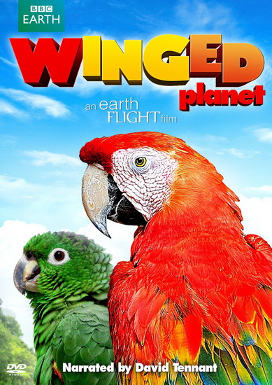 Winged Planet - 