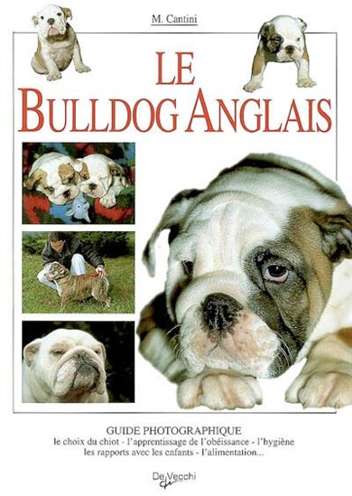 Le Bulldog anglais - M CANTINI