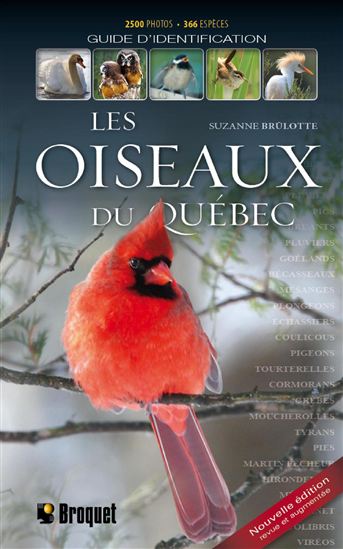 Les Oiseaux du Québec N. éd. - SUZANNE BRÛLOTTE