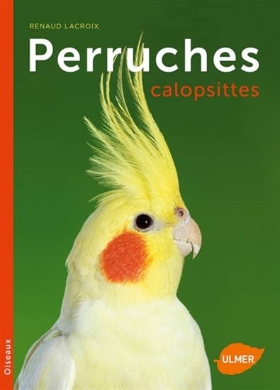 Perruches callopsites - RENAUD LACROIX