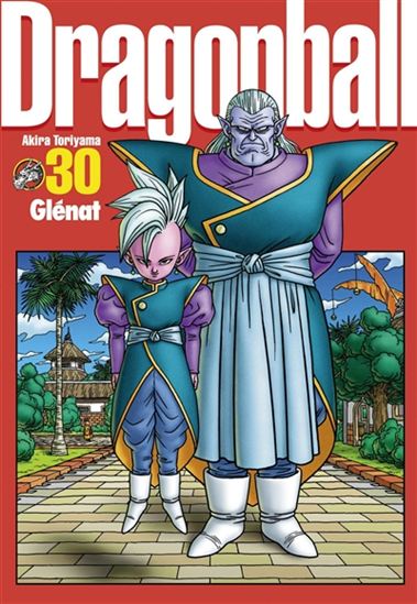 Dragon Ball perfect edition #30 - AKIRA TORIYAMA