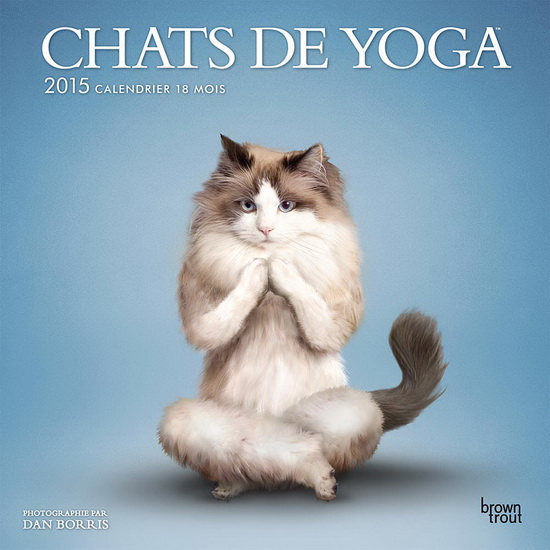 Calendrier 15 Chats De Yoga Livres Renaud Bray Com Livres Cadeaux Jeux