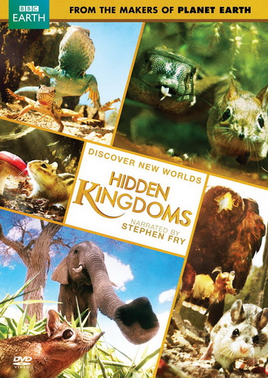 Discover New Worlds: Hidden Kingdoms