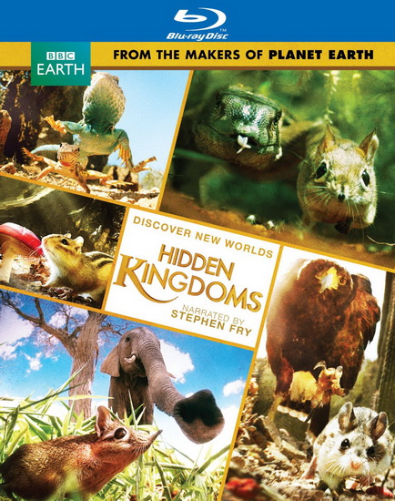 Discover New Worlds: Hidden Kingdoms