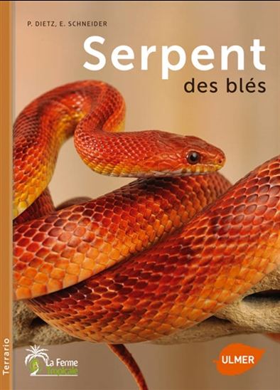 Serpent des blés - PETRA DIETZ - EVA-GRIT SCHNEIDER