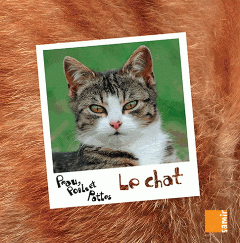 Le Chat - MARWAN EL-AHDAB