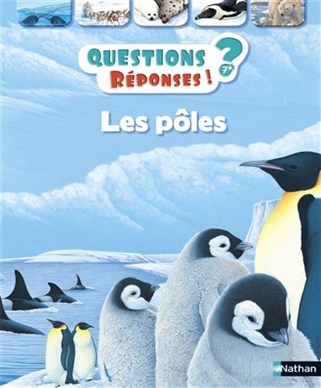 Les Pôles 7+ - COLLECTIF