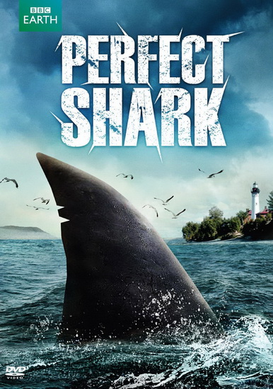 Perfect Shark