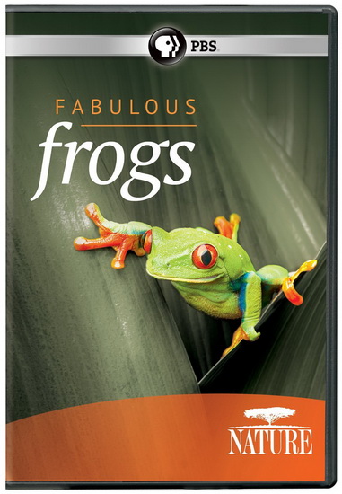 Fabulous Frogs