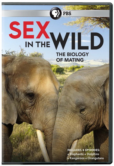 Sex In The Wild