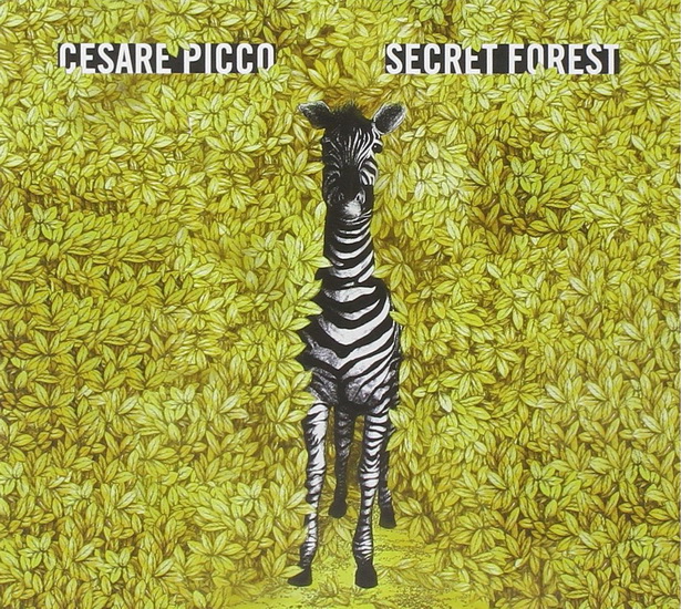 Secret Forest - PICCO CESARE