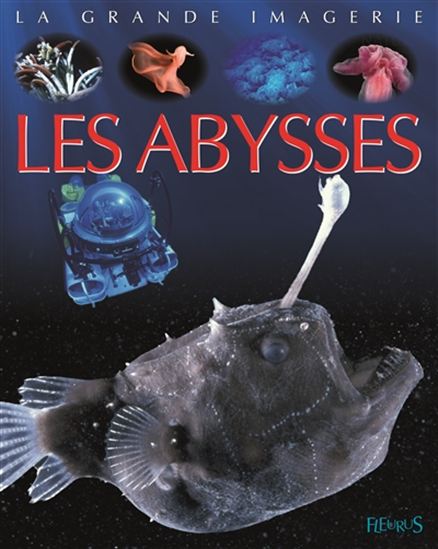 Les Abysses - COLLECTIF