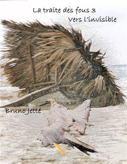 La Traite des fous T.03 Vers l'invisible - BRUNO JETTÉ