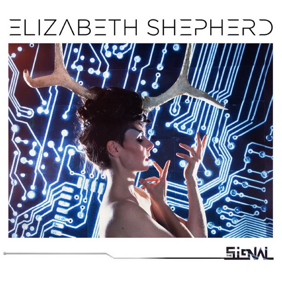 The Signal - SHEPHERD ELIZABETH