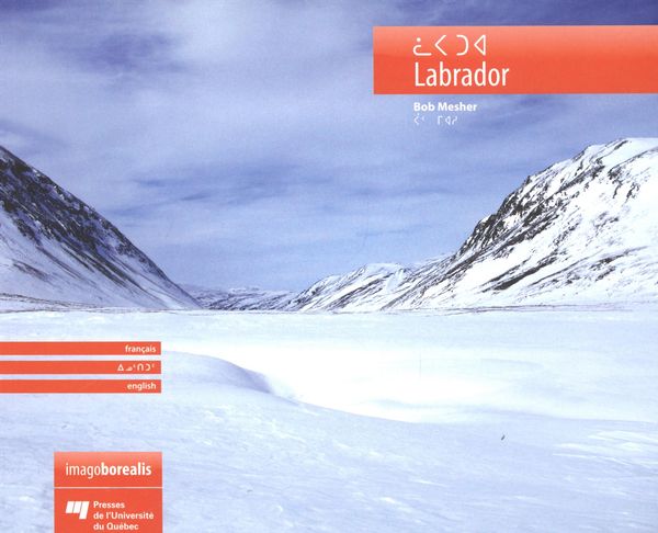 Labrador - BOB MESHER