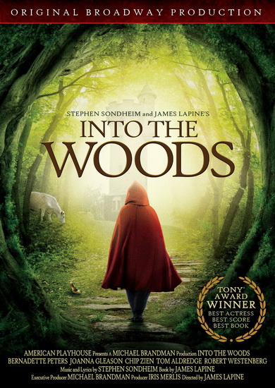 Into The Woods - MARSHALL ROB