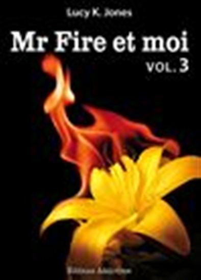 Mr Fire et moi - volume 3 - LUCY K. JONES