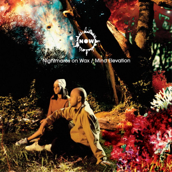 Mind Elevation (Vinyl) - NIGHTMARES ON WAX