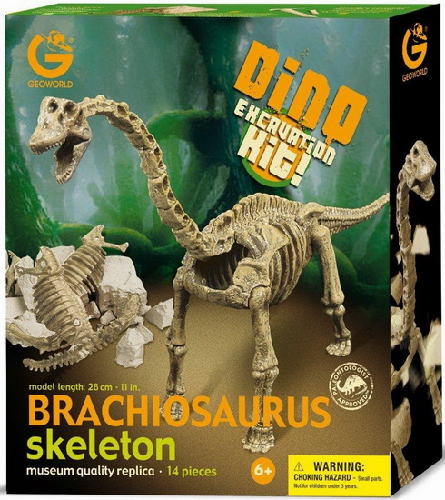 Ensemble d&#39;excavation squelette de Brachiosaure