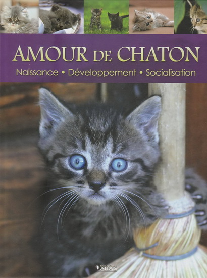 Amour de chaton - COLLECTIF