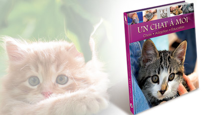 Un chat à moi - COLLECTIF