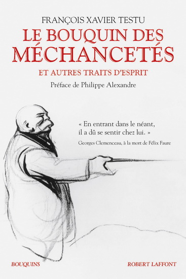 Le Bouquin des méchancetés et autres traits d'esprit - FRANÇOIS XAVIER TESTU