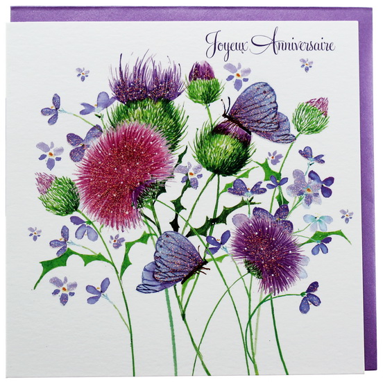 Joyeux Anniversaire Papillon Sur Chardons Livres Renaud Bray Com Livres Cadeaux Jeux