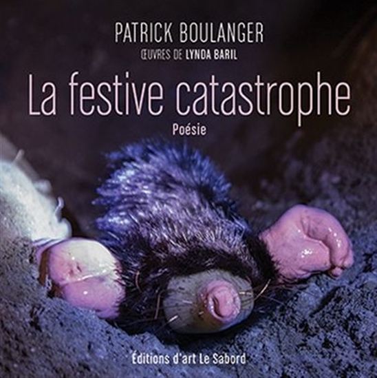 La Furtive catastrophe - PATRICK BOULANGER - LYNDA BARIL