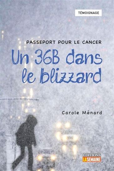 Un 36-B dans le blizzard - CAROLE MÉNARD
