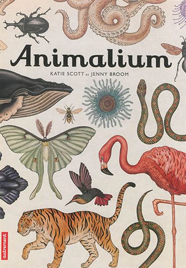 Animalium - JENNY BROOM - KATIE SCOTT