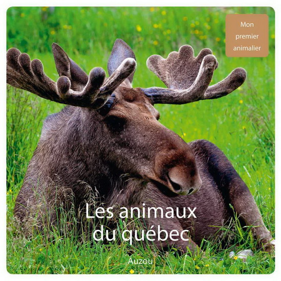 Les Animaux du Québec N. éd. - COLLECTIF
