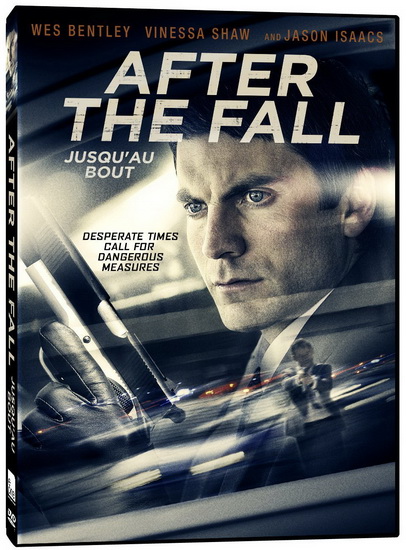 After The Fall - KLEIN SAAR