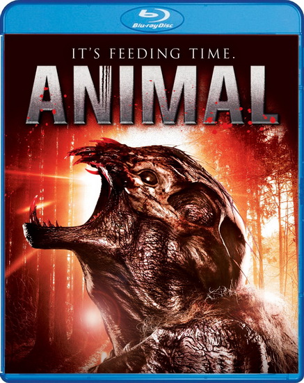 Animal - SIMMONS BRETT
