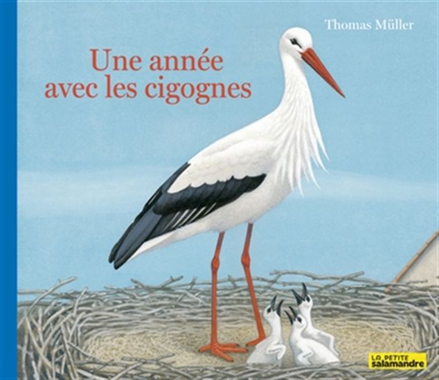 Une année avec les cigognes - THOMAS MÜLLER