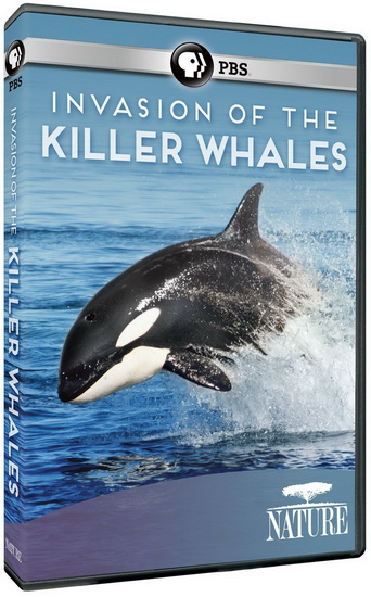 Invasion Of The Killer Whales