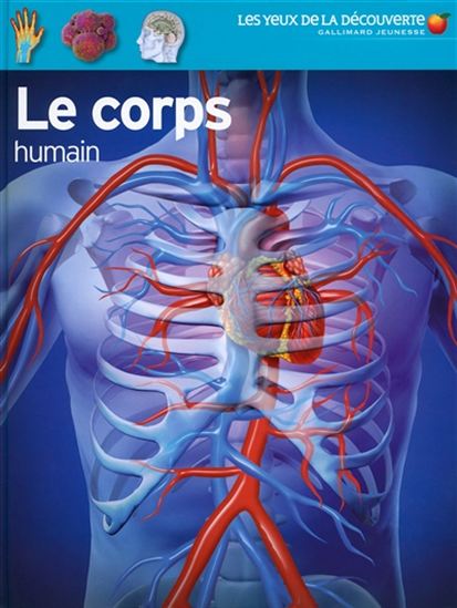 Le Corps humain N. éd. - RICHARD WALKER