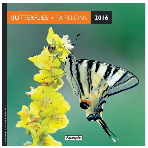 Calendrier mini 2016 Papillons