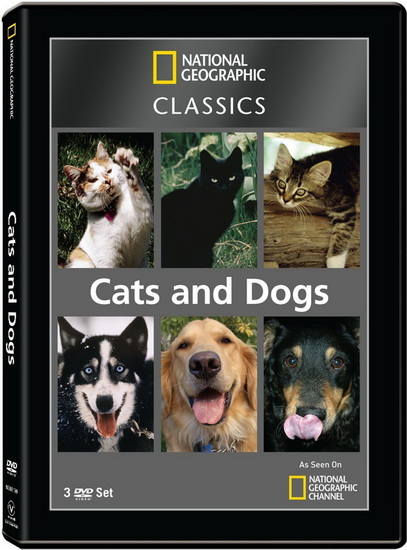 Cats And Dogs - NATIONAL GEOGRAPHIC