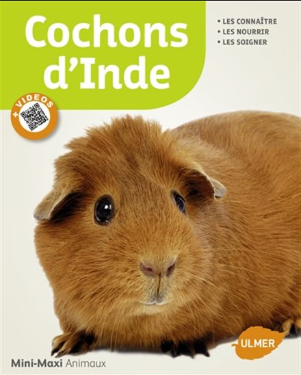 Cochons d&#39;Inde : les connaître, les nourrir, les soigner N. éd. - FRITZ DIETRICH ALTMANN - JEAN-F QUINTON