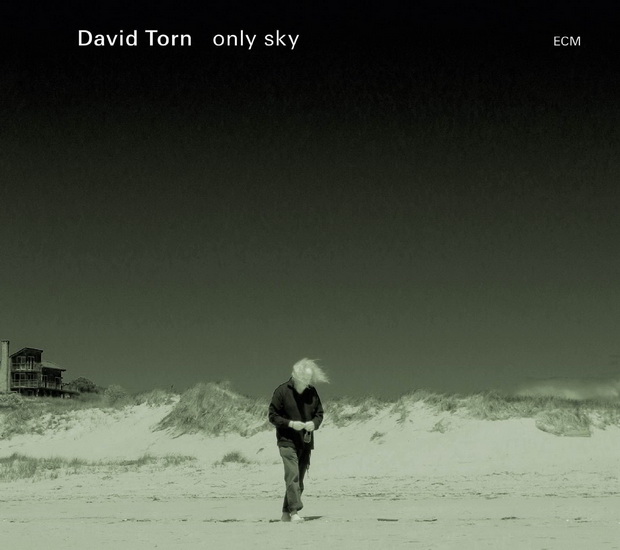 Only Sky - TORN DAVID