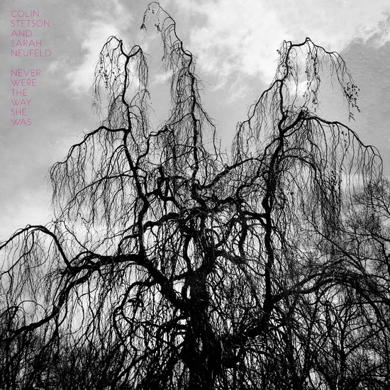 Never Were The Way She Was (Vinyl) - COLIN & SARAH NEUFELD STETSON