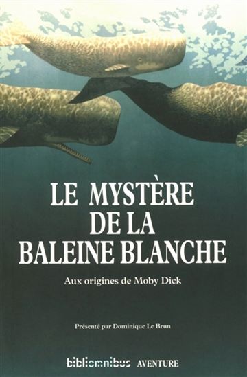 Le Mystère de la baleine blanche : aux origines de Moby Dick - DOMINIQUE LE BRUN