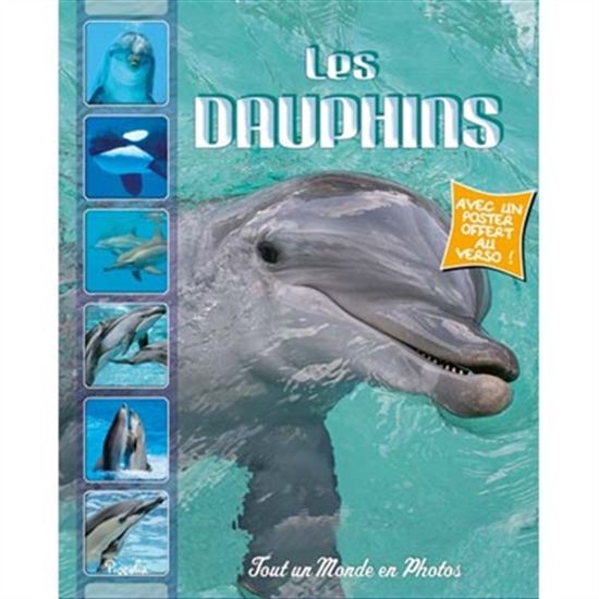 Les Dauphins - COLLECTIF