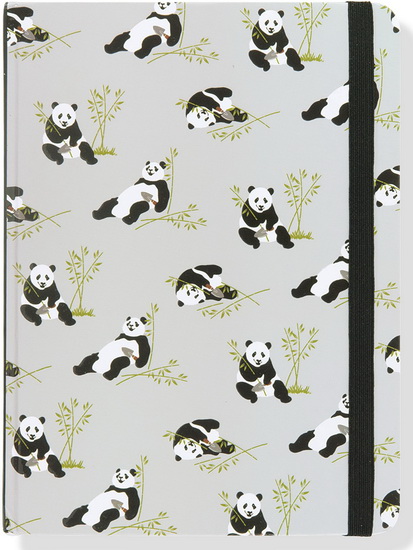 Journal moyen Pandas